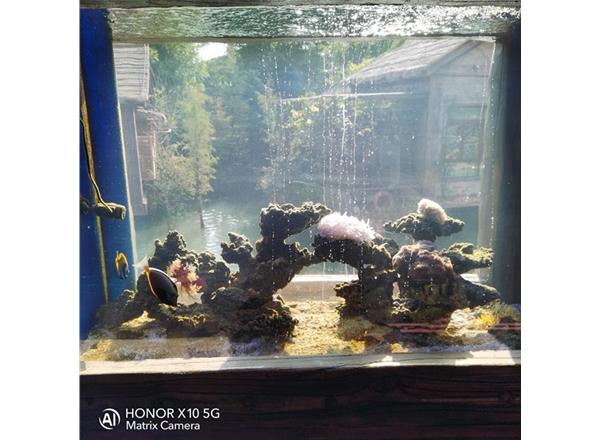 东莞鱼缸工程